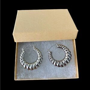 Classic Silver Tone Shrimp Hollow Round Hoop Pierced Women’s Earrings With Box